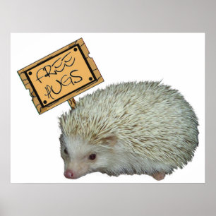 Póster Free Hugs Hedgehog