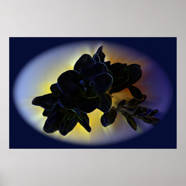 Poster Freesia azul escura (Frente)