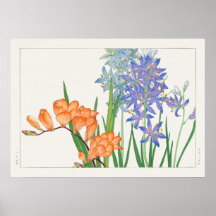 Poster Freesia Flower por Tanigami Kônan (1917)