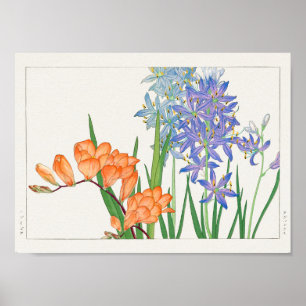 Poster Freesia, lírio africano por Tanigami Konan