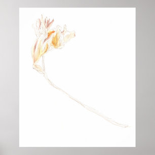 Poster Freesia Seca N.o 3