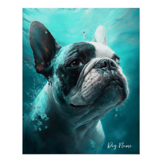 Póster French Bulldog swimming in water 011 (Frente)