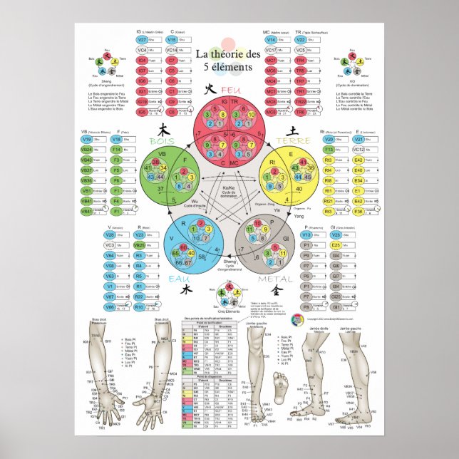 Poster French Five Elements Acupuncture (Frente)