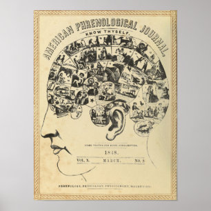 Póster Frenologia: Conheça Thyself