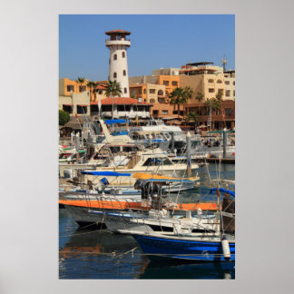 Póster Frente d'água do porto em Cabo San Lucas