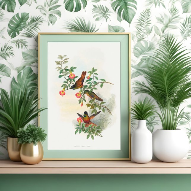 Poster Frente frontal do ouro (Criador carregado)