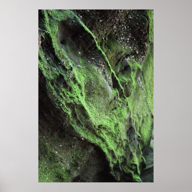 Poster Frequente o momento (Frente)