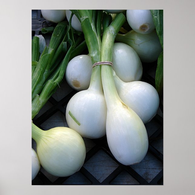 Poster Fresco Da Fazenda (Frente)