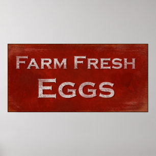 Poster fresco dos ovos da fazenda