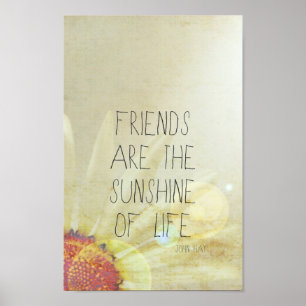 Póster Friendship & Sunshine