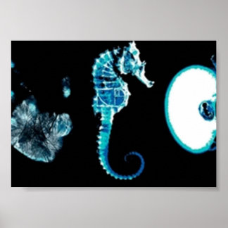 Poster Fringe Glyphs