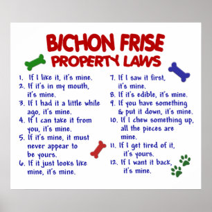 PÓSTER FRISE PL2 DE BICHON