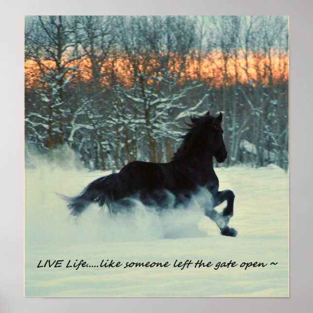 Poster Frísia Winter Frolic (Frente)