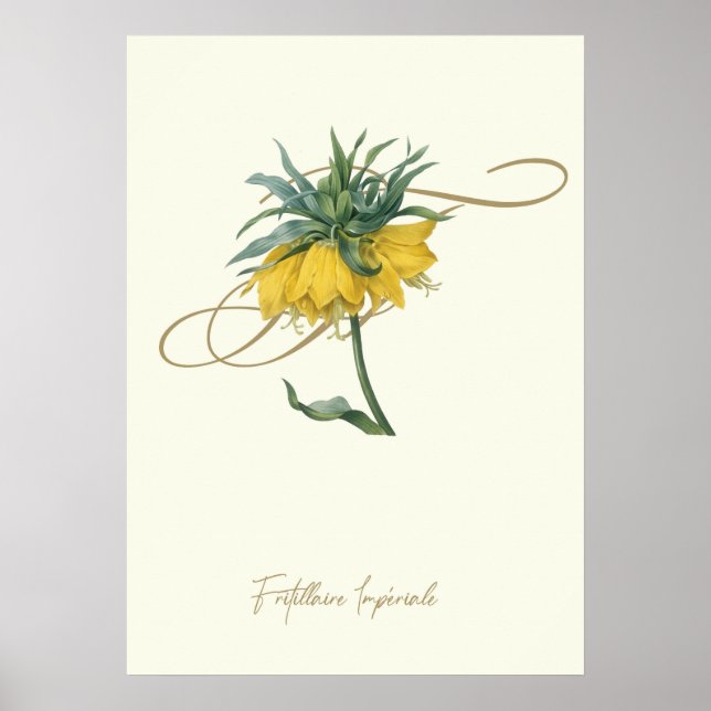 Poster Fritillaire (Frente)