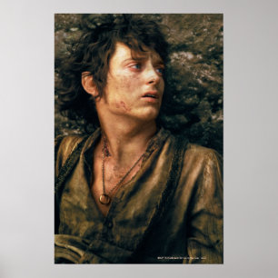 Poster FRODO™ in Despair