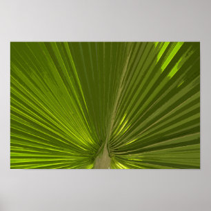 Poster Fronda tropical verde da palmeira