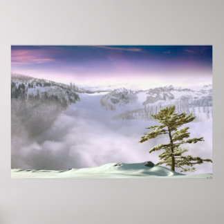 Póster Fronteiras do assobio