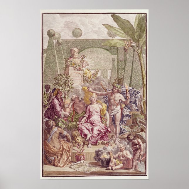 Póster Frontispece, "Hortus Cliffortianus", de Carl (Frente)