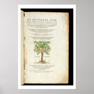 Poster Frontispício 'de De Historia Stirpium Commentarii