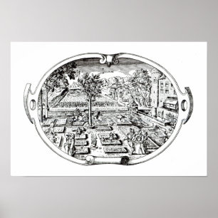 Póster Frontispiece, "do Herball", por John Gerard (