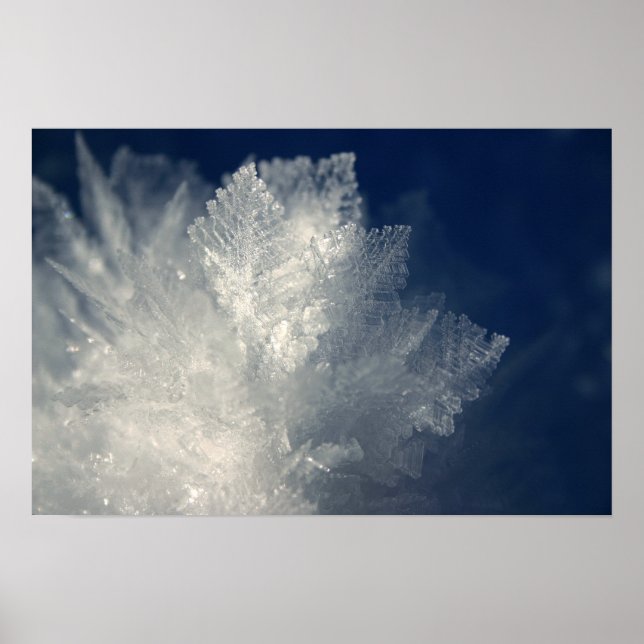 Póster Frost (Frente)