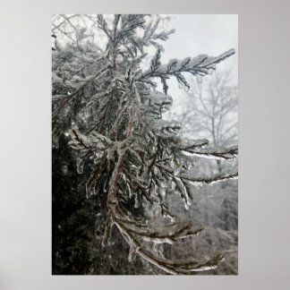 Poster Frost de inverno