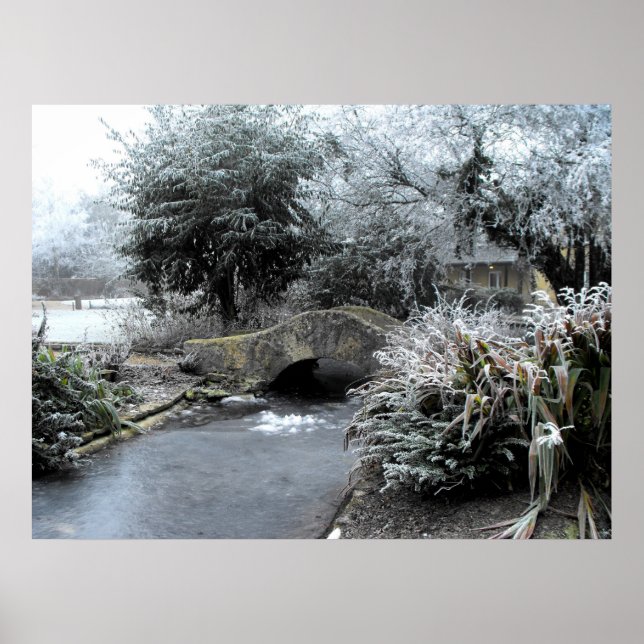 Póster Frost e gelo num jardim Somerset (Frente)