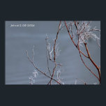 Poster Frosted Bush<br><div class="desc">Winter frosting 2026</div>