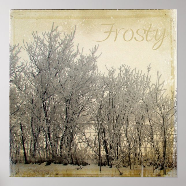 Póster Frosty (Frente)