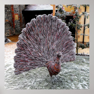 Póster Frosty wickerwork peacock
