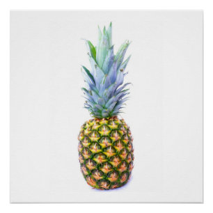 Póster Fruta Abacaxi Praia Sobremesa Colorida Tropical