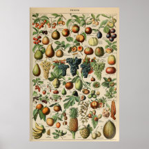 Poster Fruta Adolphe Millot Le Larousse Pour Tous