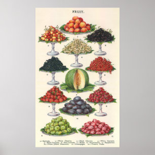 Poster Fruta Assorted alimentos do vintage em bandejas