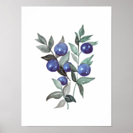 Poster Fruta de amora azul