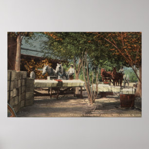 Póster Fruta de carregamento no rancho de Longview
