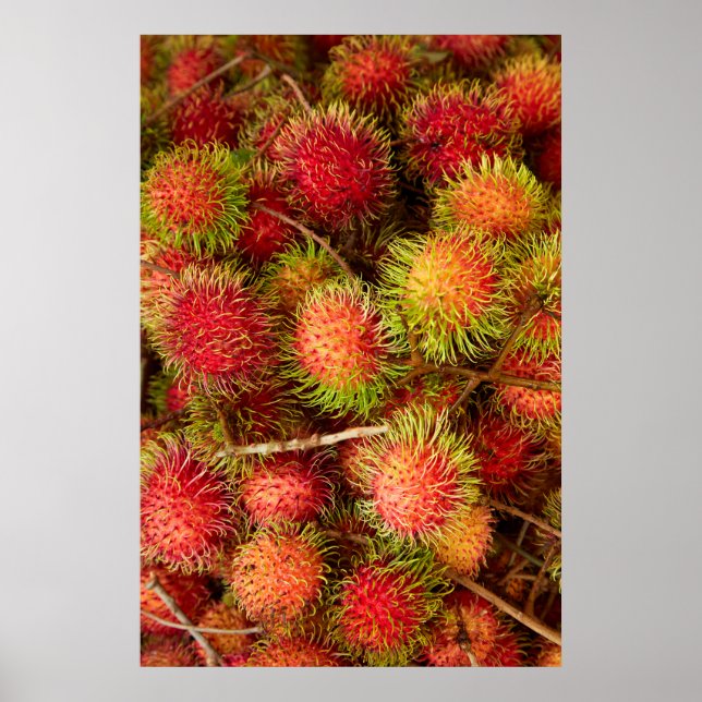 Poster Fruta de Rambutã no Mercado de Can Duoc (Frente)