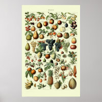 Fruta de Vintage por Adolphe Millot