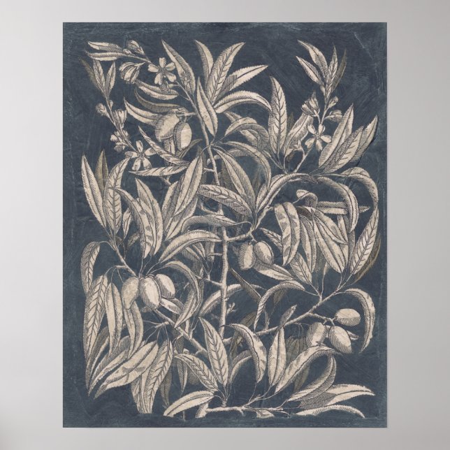 Póster Fruta e Floral I (Frente)