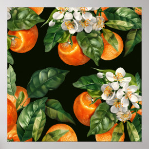 Poster fruta laranja
