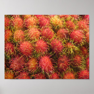 Póster Fruta tropical do Rambutan