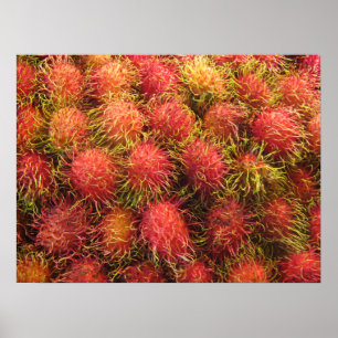 Póster Fruta tropical do Rambutan