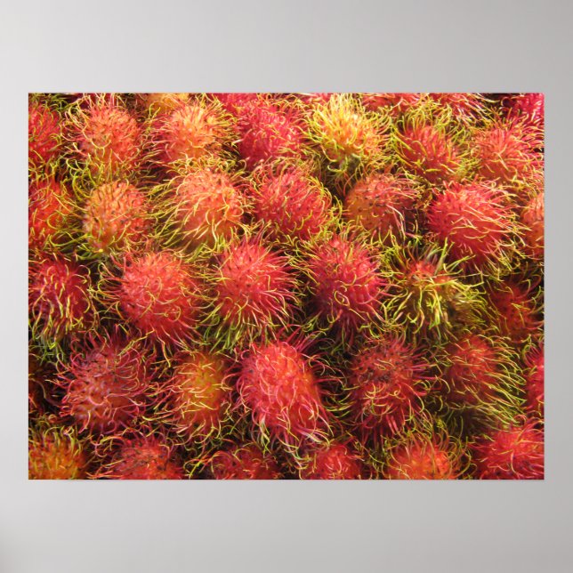 Póster Fruta Tropical Rambutan (Frente)
