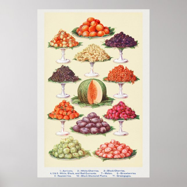 Poster Fruta Vintage (Frente)