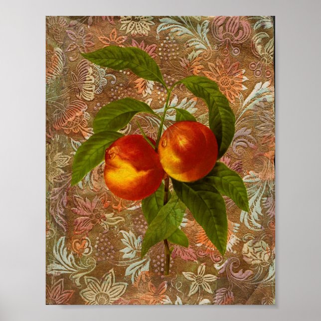 Poster Fruta Vintage (Frente)