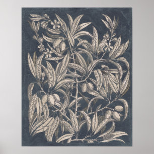 Póster Fruta Vintage e Floral I