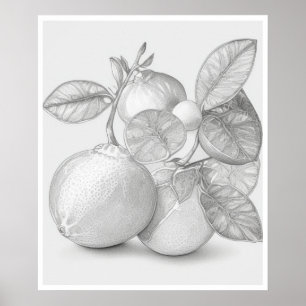 Poster Fruta Wall Art
