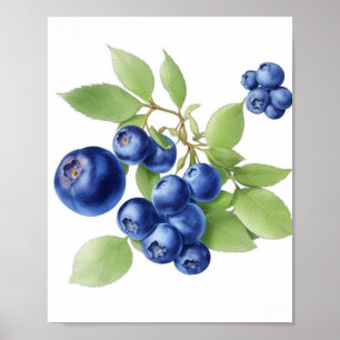 Poster Fruta Wall Art
