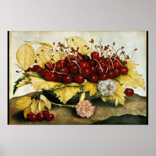 PÓSTER FRUTAS/CADEIRAS E CARNAÇÕES DA SEASON
