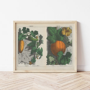 Poster Frutas   Charlotte Mary Yonge