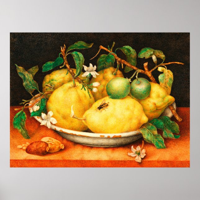POSTER FRUTAS DA ESTAÇÃO LARANJAS E FLORES BRANCAS CARTAZ (Frente)